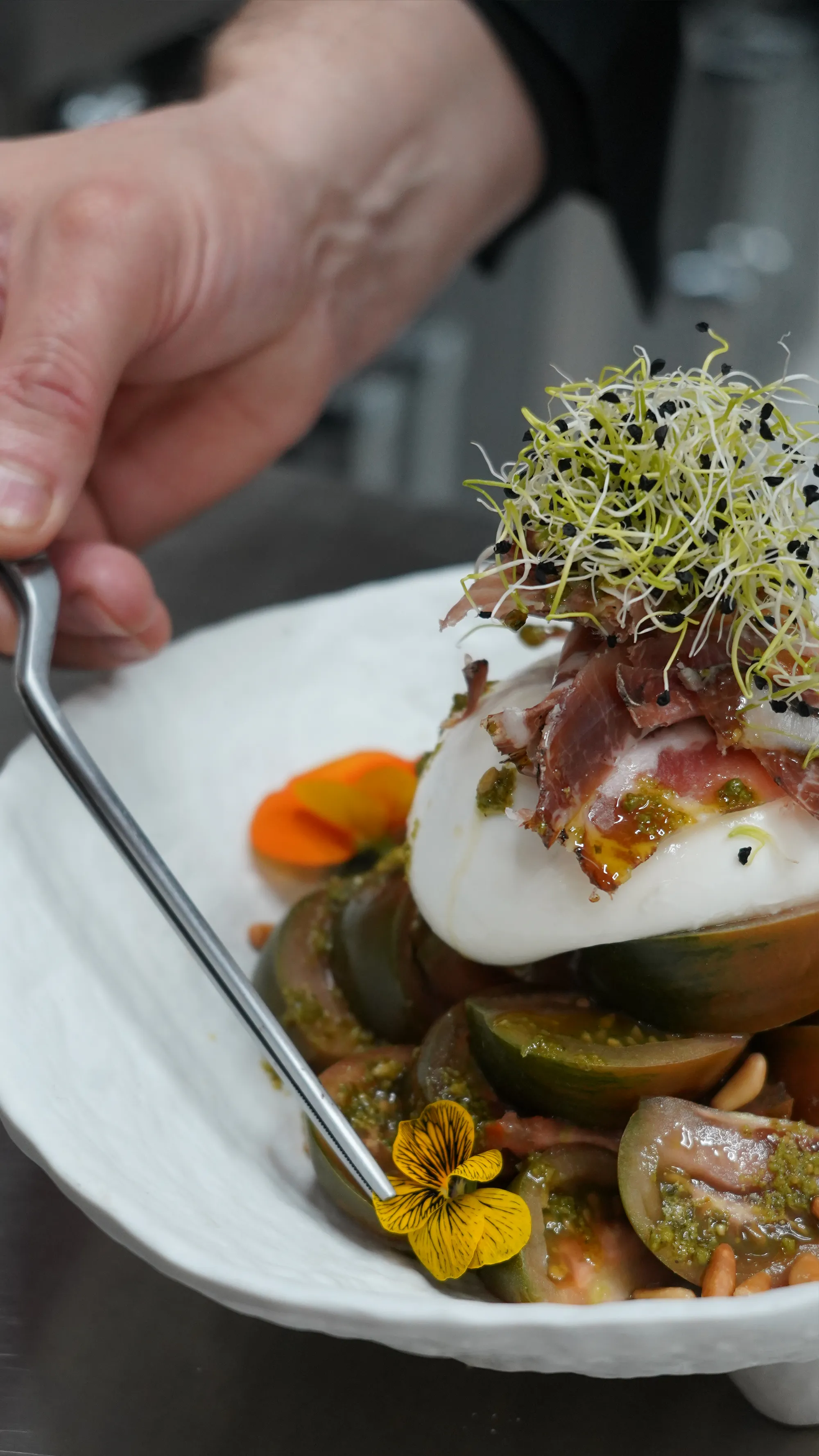 Platos Arroz y Arte